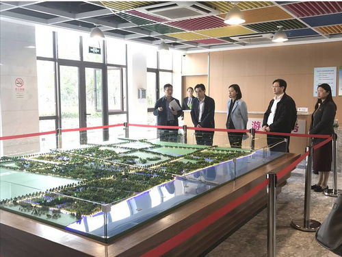 吳偕林副秘書長赴閔行區調研旅游工作，推動區域旅游業務創新發展